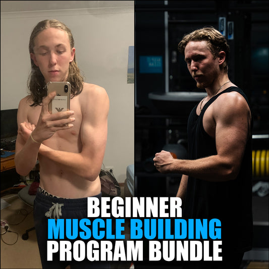 Beginner Muscle Building Program Bundle